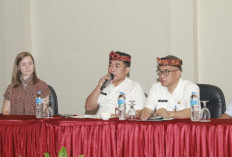 Pemprov Kaltara Perkuat Sinergi Fiskal melalui Workshop PERA