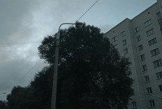 Cek Cuaca Hari Ini! Prakiraan Cuaca Kalimantan Utara 17 Januari 2026 Didominasi Hujan dan Udara Kabur