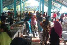 Resmi Beroperasi, Pasar Ikan Higienis Tarakan Diyakini Kendalikan Harga dan Perkuat Ekonomi Nelayan