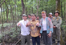 Menhut Dorong Perlindungan Lahan Basah dan Mangrove di Kalimantan Utara