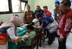 Perkuat Pencegahan DBD, Kalimantan Utara Luncurkan Program Vaksinasi Dengue