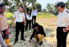 Survei Lahan SAE Lapas Nunukan, DKPP Dorong Pengembangan Pertanian dan Pemanfaatan Limbah Jadi Pupuk Organik