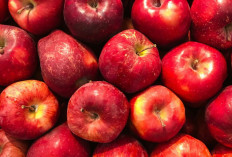 Khasiat Buah Apel yang Jarang Disadari, Baik untuk Imunitas, Kulit, dan Berat Badan