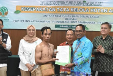 Kemenhut Percepat Penetapan Hutan Adat Punan Batu Benau-Sajau Didukung Tiga Perusahaan